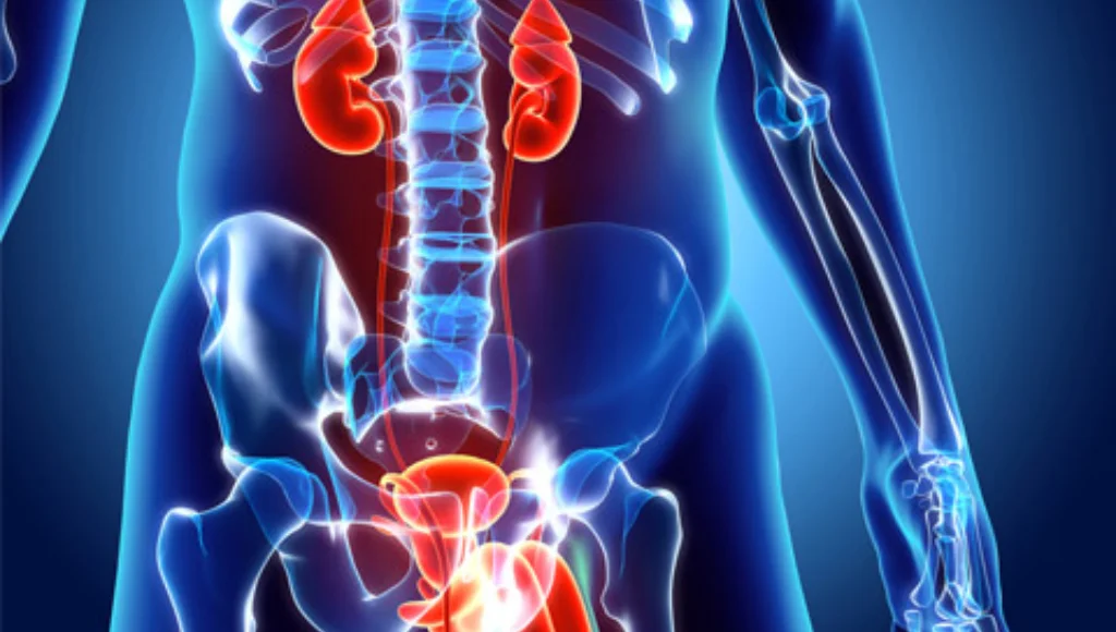 What You Should Know About Urinary Tract Infections (UTIs)